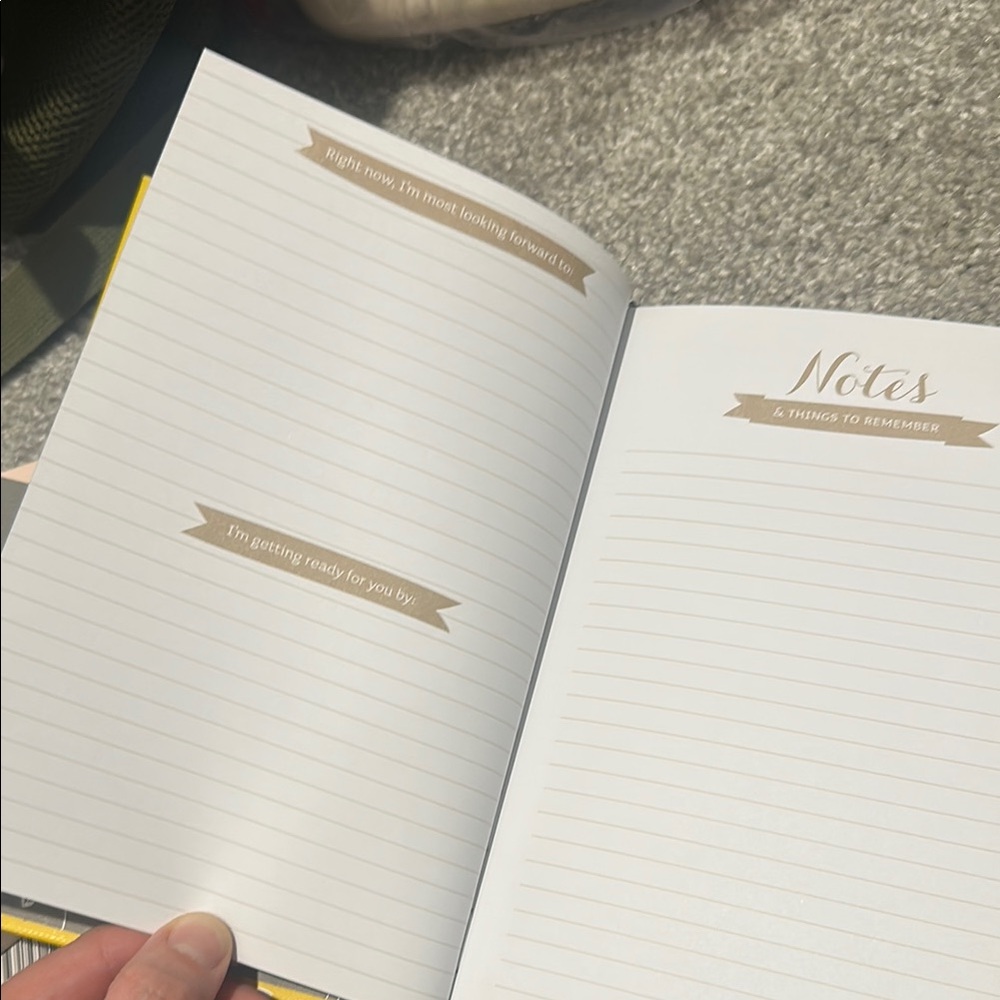 Pregnancy Journal - Picture 3 of 6